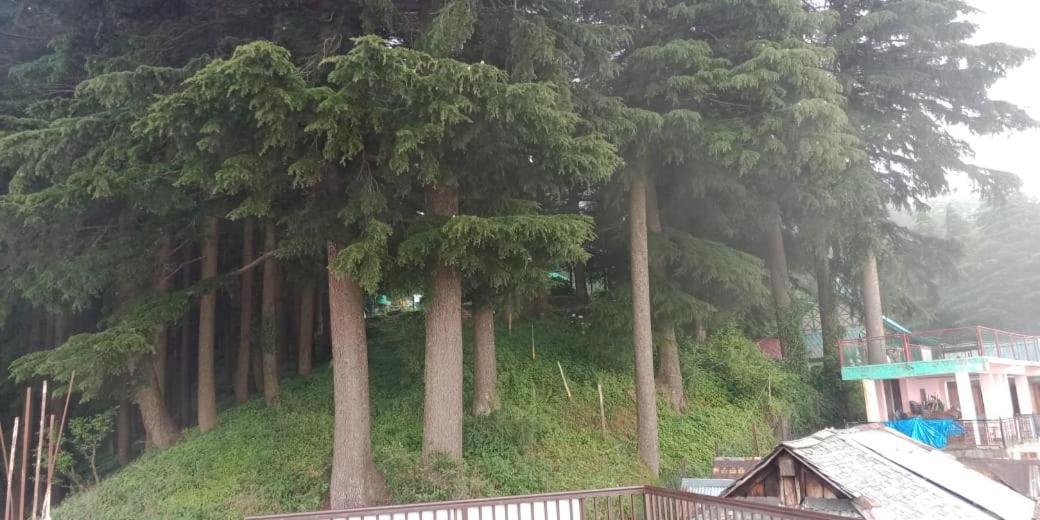Hotel Forest View Lāhri Zewnętrze zdjęcie