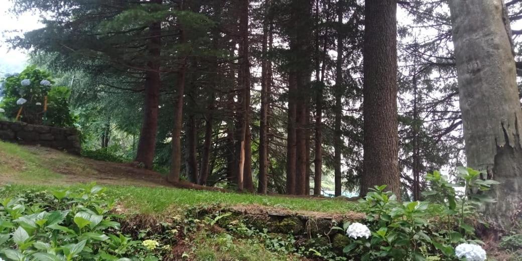 Hotel Forest View Lāhri Zewnętrze zdjęcie